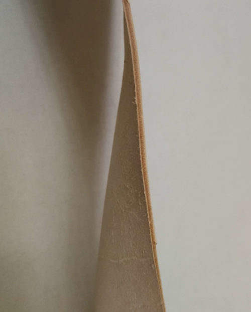 Augalinio rauginimo oda - nedažyta, 2mm, 121x14 - Image 3