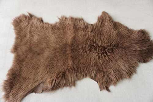 Kailis (avies) - dvipusis, rudas/aukso sp., 73x37 - Image 2