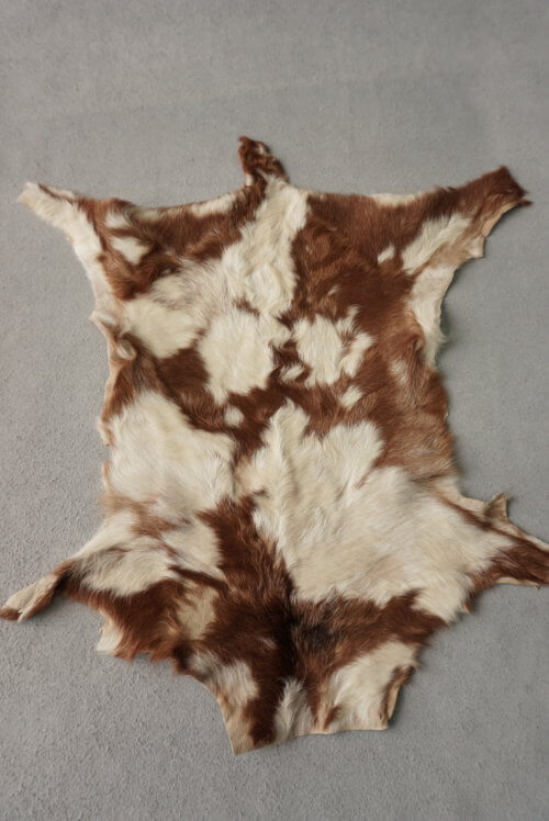 Kailis (afrikinės ožkos) - ruda/ivory, 40x20 - Image 2