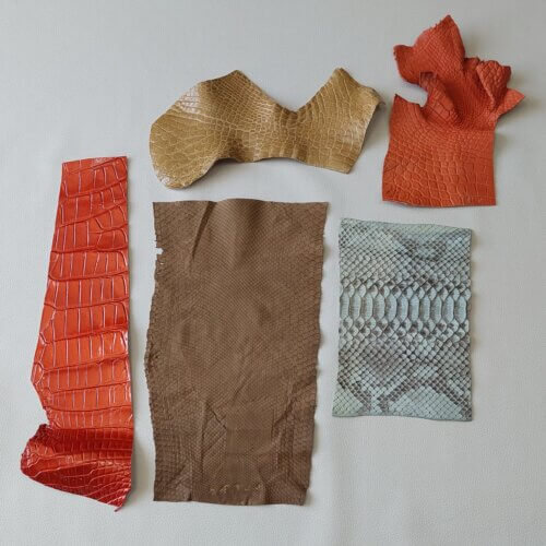 Exotic leather set 5 pieces - Nr. 4947 - Image 2