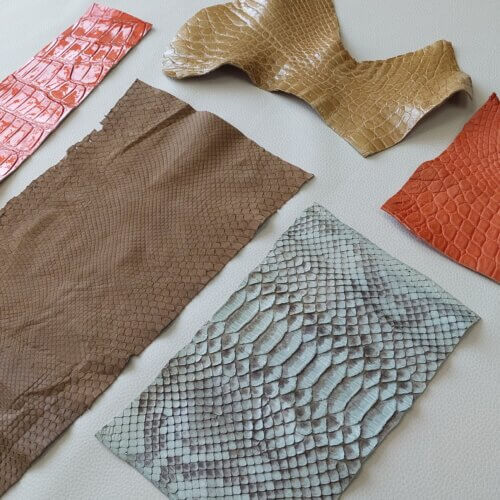 Exotic leather set 5 pieces - Nr. 4947 - Image 3